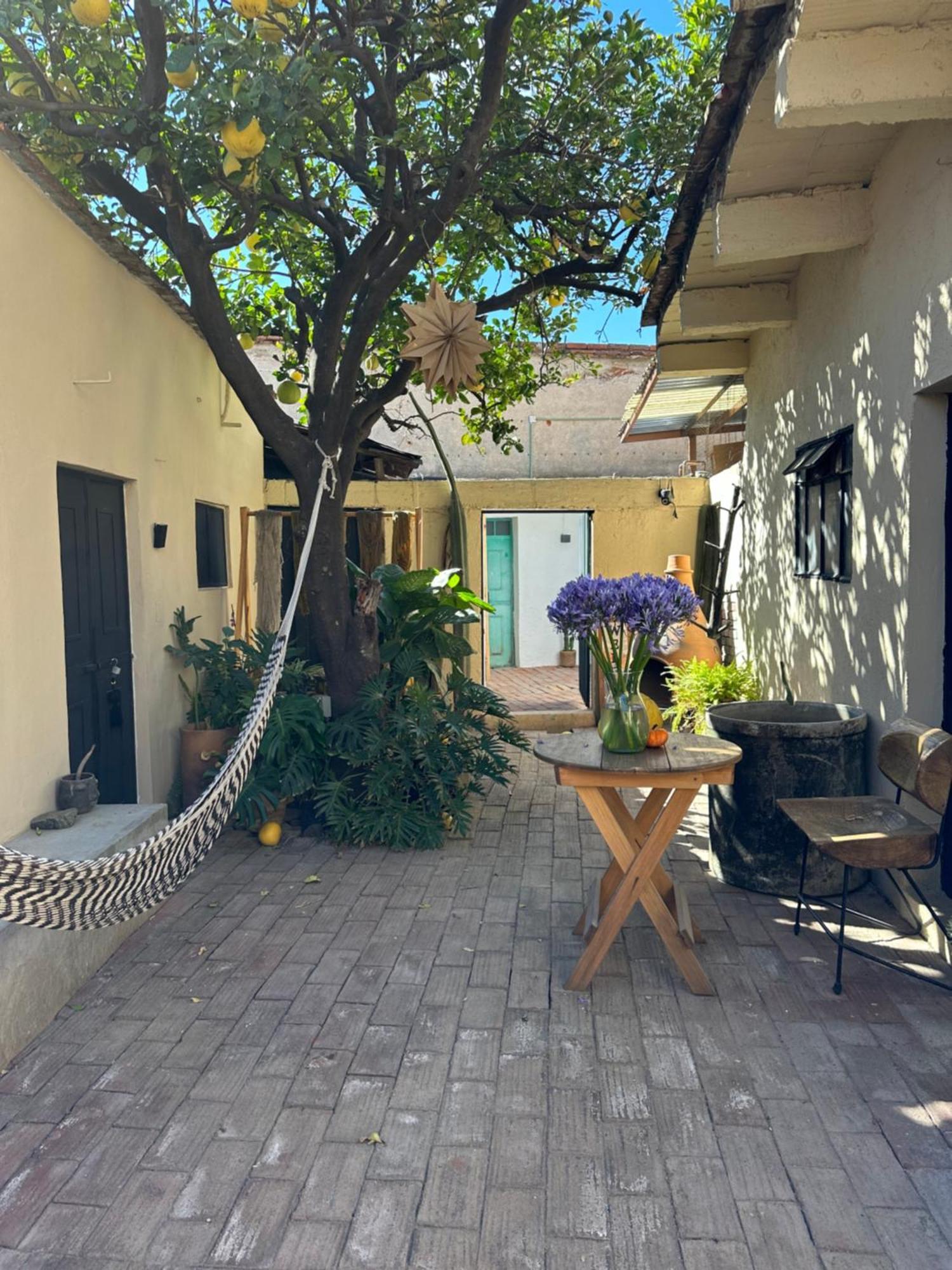 509 Accommodation Oaxaca Экстерьер фото