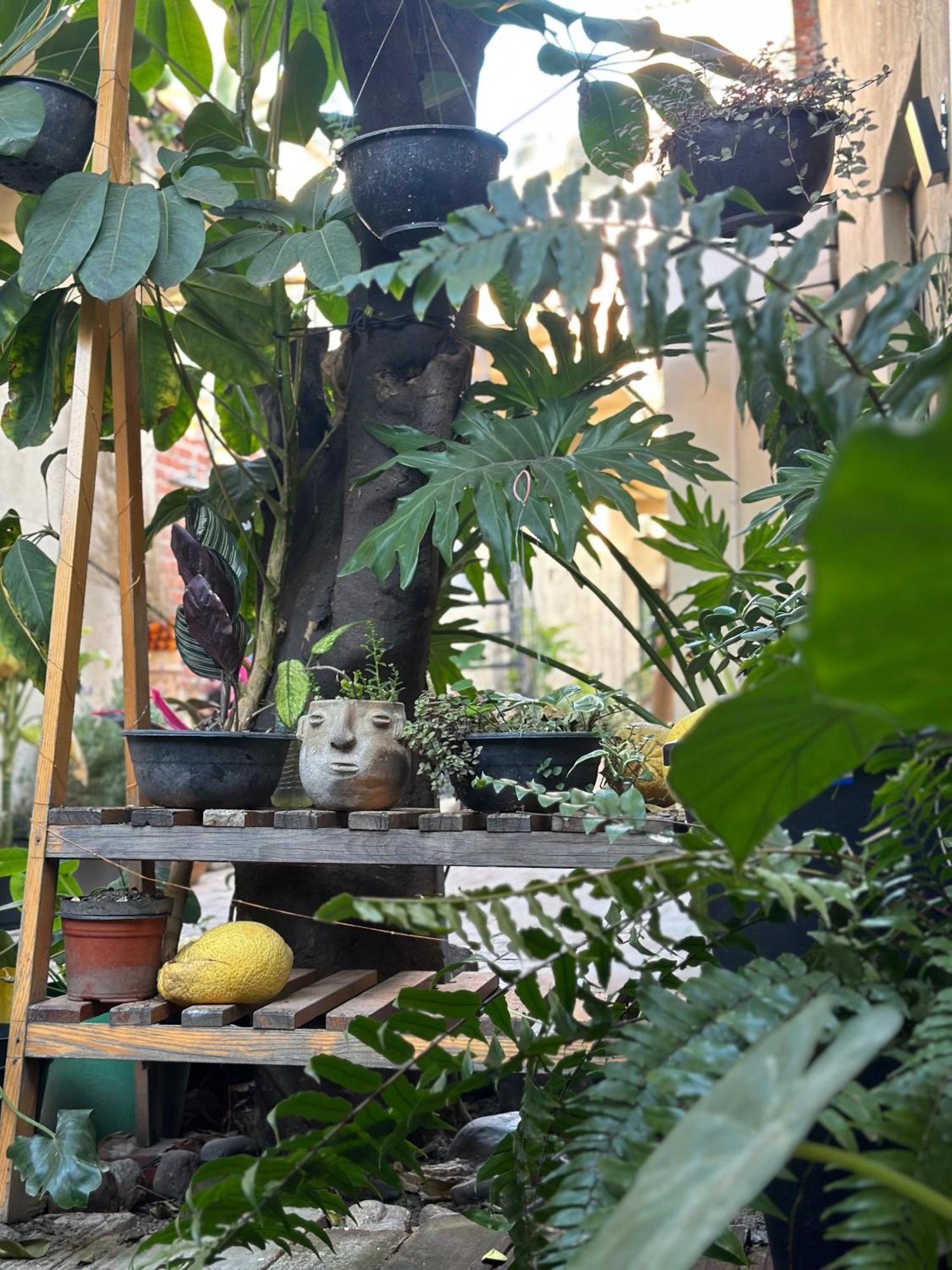 509 Accommodation Oaxaca Экстерьер фото